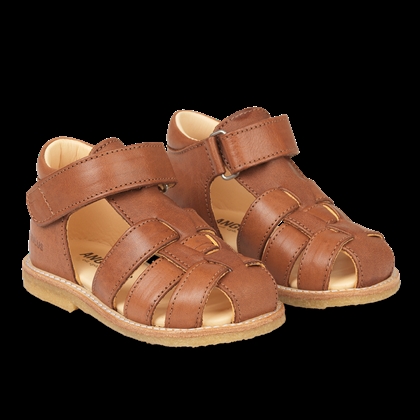 Angulus Begynder Sandal (Smal/Almindelig) - Cognac